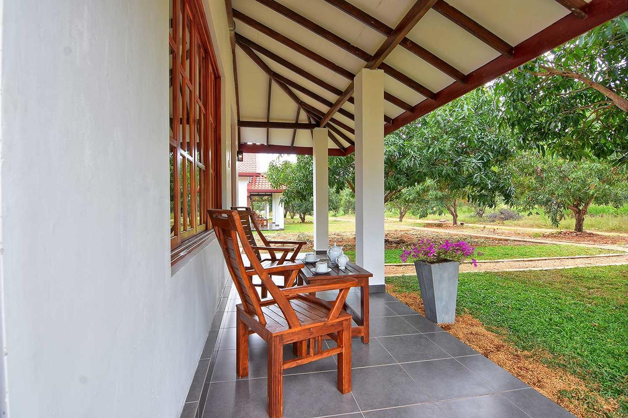 Dambulla Hills Resort Bagian luar foto