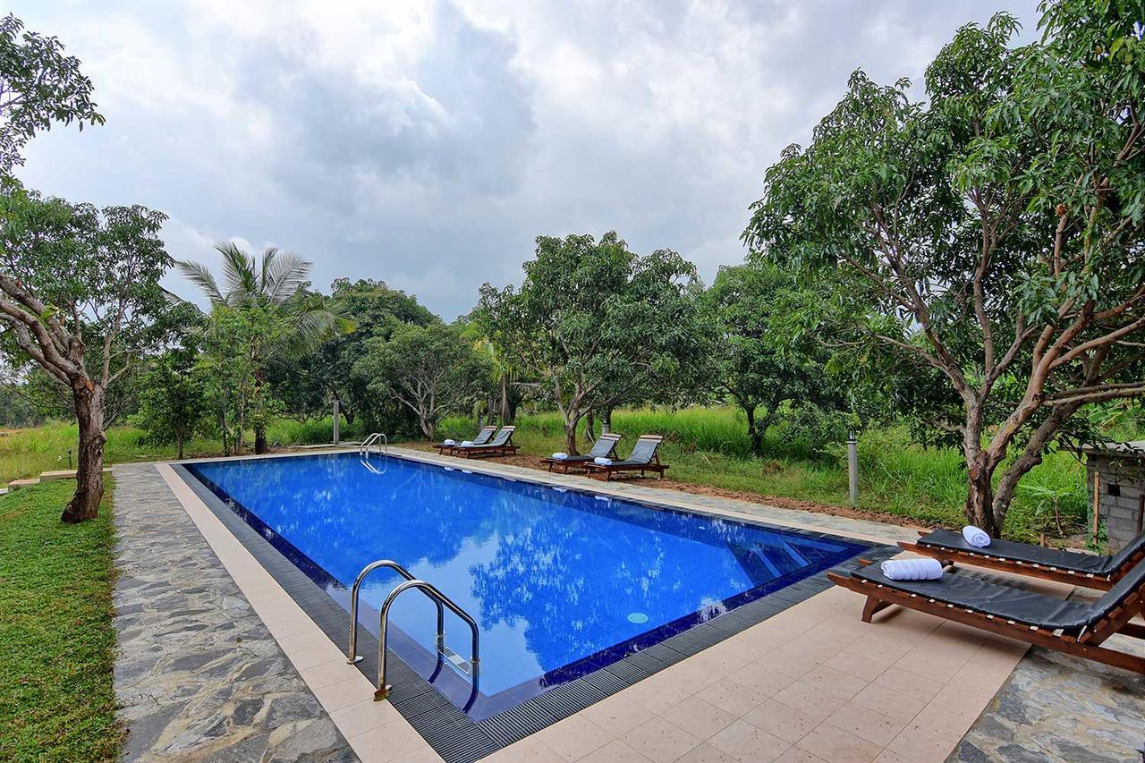 Dambulla Hills Resort Bagian luar foto