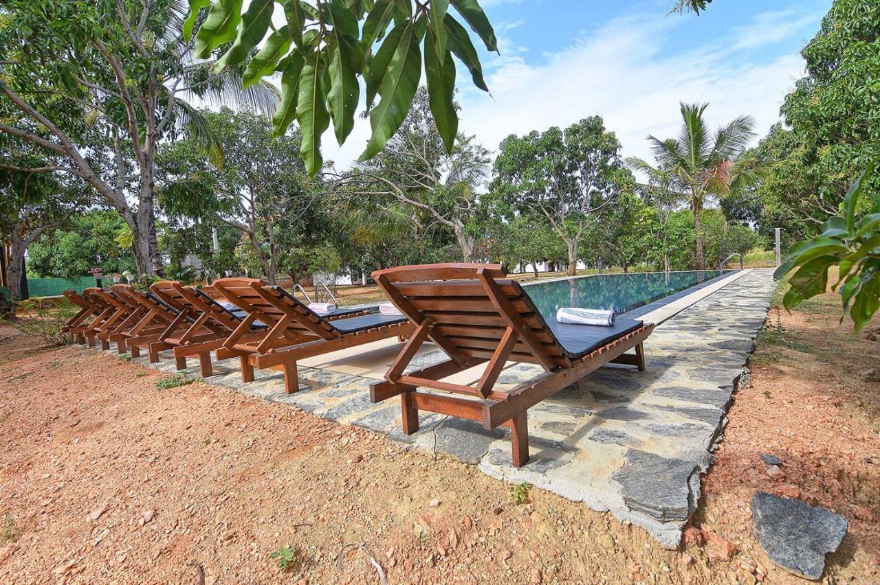 Dambulla Hills Resort Bagian luar foto